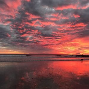 Meet your Posher, Shiva